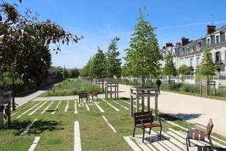 &laquo;&nbsp;Renaturer&nbsp;&raquo; les villes, une voie prometteuse pour mieux s&rsquo;adapter au changement climatique | Veille juridique du CDG13 | Scoop.it
