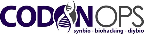Nanocrafter: a Synthetic Biology Game | CodonOps | SynBioFromLeukipposInstitute | Scoop.it