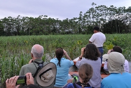 BirdSleuth Teachers Take on the Amazon Rainforest | RAINFOREST EXPLORER | Scoop.it