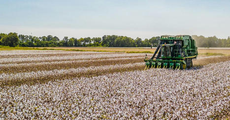 AG-TECH : How blockchain could shield smallholder farmers from climate risk  | INNOVATIONS | Scoop.it