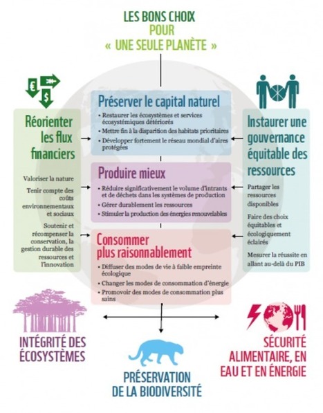 La disqualification d’un modèle linéaire devenu insoutenable | Veille Éducative - L'actualité de l'éducation en continu | Scoop.it