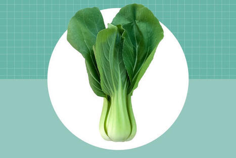 Is Bok Choy Healthy? Here's What a Dietitian Has to Say | The Health Report | Scoop.it
