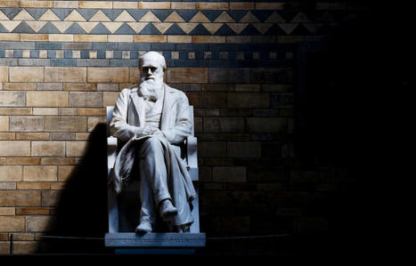 Toute la bibliothèque de Charles Darwin exposée en ligne | Veille professionnelle en bibliothèque | Scoop.it