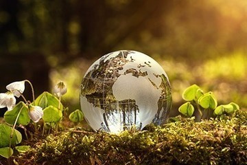American Eagle eyes carbon neutrality by 2030&nbsp; | Sustainable Procurement News | Scoop.it