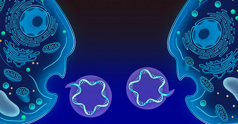 Cells Across the Tree of Life Exchange ‘Text Messages’ Using RNA | Bioscience News - GEG Tech top picks | Scoop.it