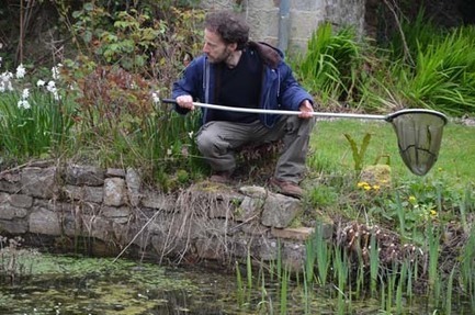 En Normandie, le déclin du bocage et des amphibiens (2/3) | Biodiversité | Scoop.it