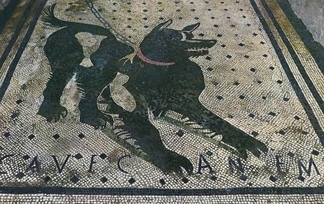 Pompeya: Reluce de nuevo tras su restauración el mosaico del Cave Canem | Net-plus-ultra | Scoop.it