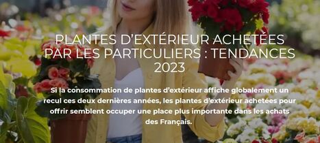 Chiffres et tendances : Plantes d’extérieur achetées par les particuliers | HORTICULTURE | Scoop.it