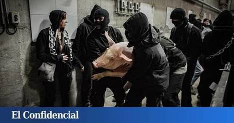 #Ganadería: Alta tensión en los asaltos a granjas por parte de #animalistas > ¿irresponsabilidad, manipulación...? | ¿Qué está pasando? | Scoop.it