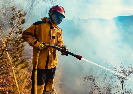 Feux de forêt : le printemps pluvieux ne doit pas conduire à sous-estimer le risque incendie | Veille juridique du CDG13 | Scoop.it