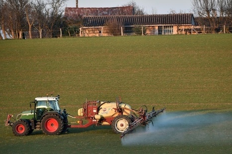 Perturbateurs endocriniens: le gouvernement liste les pesticides pouvant en contenir | Toxique, soyons vigilant ! | Scoop.it