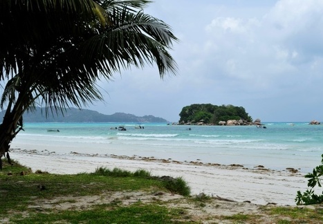 Seychelles: les écoles fermées par peur de la peste | Think outside the Box | Scoop.it