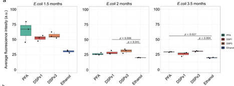 Reversible fixation of microbial cells for targeted genomics | brvt | RMH | Scoop.it