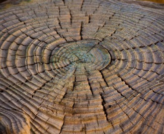 When I'm 164: How Can Bioscience Push the Limits of Lifespan? | Kool Look | Scoop.it