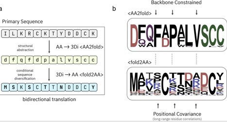 GhostFold: Accurate protein structure prediction using structure-constrained synthetic coevolutionary signals | brvai | RMH | Scoop.it