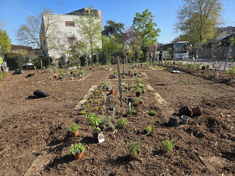 Cette ville des Yvelines lance un verger partagé et surtout, en accès libre ! | Urbanisme - Aménagement | Scoop.it