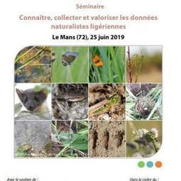 Compte-rendu du séminaire sur les données naturalistes ligériennes - Centre de Ressources Loire Nature | Biodiversité | Scoop.it