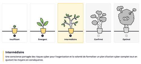 Test cyber : &eacute;valuez votre maturit&eacute; cyber en 5 minutes ! | Tertiaire &agrave; forte valeur ajout&eacute;e | Scoop.it