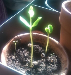 La voie du d&eacute;sencombrement... | Economie Responsable et Consommation Collaborative | Scoop.it