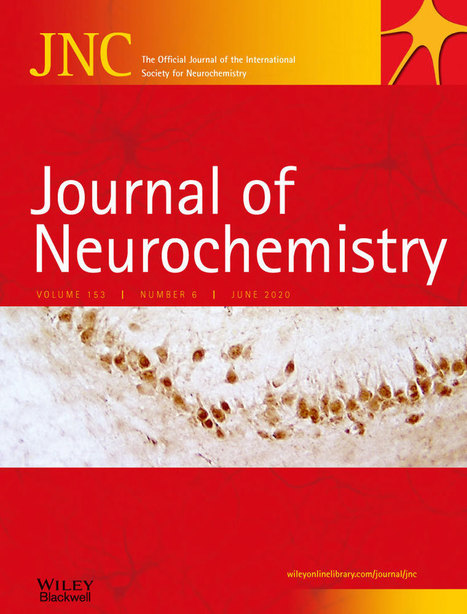 Influence of retinal NMDA receptor activity during autoimmune optic neuritis - Bojcevski - 2020 - Journal of Neurochemistry | AUTOIMMUNITY | Scoop.it