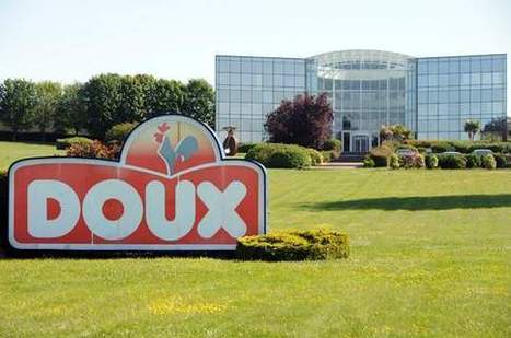 Doux : le plan de continuation validé par le tribunal de commerce | La Gazette des abattoirs | Scoop.it