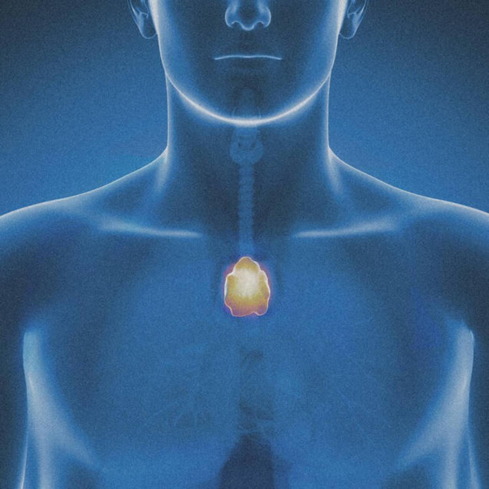 The body&rsquo;s most mysterious organ may play a key role in longevity and cancer | The Health Report | Scoop.it
