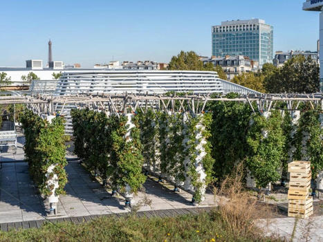 L'agriculture urbaine plus rentable que l'agriculture conventionnelle | ESPACES VEGETALISES URBAINS | Scoop.it