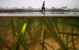 Record-breaking climate change pushes world into ‘uncharted territory’ | DURABILITES | Scoop.it