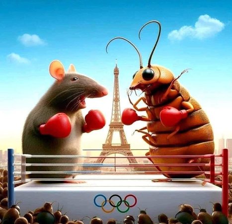 Qui va le mieux représenter les Jeux Olympiques 2024 ? | Epic pics | Scoop.it
