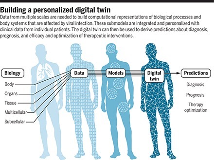 Using digital twins to help with infection control | The Future of Healthcare | Scoop.it