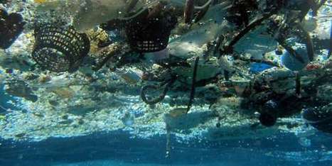 La mer de plastique dans le Pacifique fait trois fois la taille de la France | Ressources pour le cours de Géographie | Scoop.it
