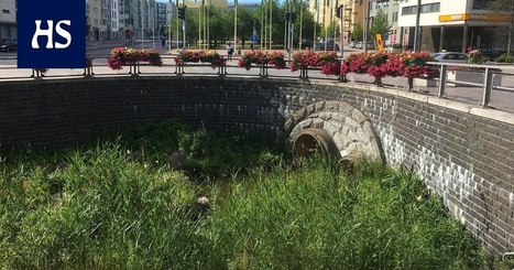 Espoolainen Paula Määttänen ilahtui keväällä Leppävaaraan ilmestyneistä kukka­istutuksista –”Jos se on pois verorahoista, olkoon” - Kaupunki | HS.fi | 1Uutiset - Lukemisen tähden | Scoop.it