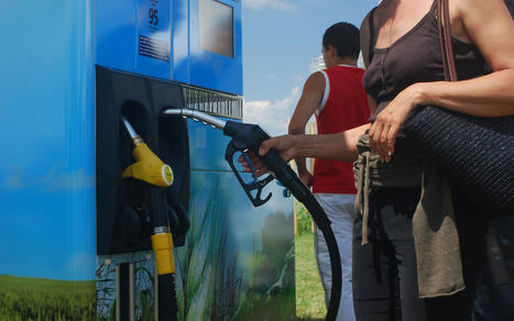 2022, une année record pour le bioéthanol en France - Arvalis | Pour innover en agriculture | Scoop.it