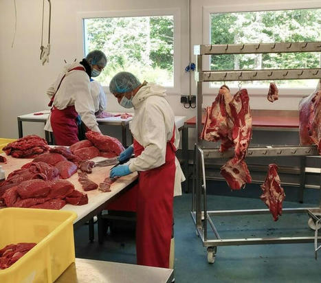 Viande bovine : le site creusois racheté par C'est qui le patron ?! cherche encore son modèle | Actualité Bétail | Scoop.it