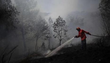 Incendies : le Portugal lutte avec les moyens du bord | News from the world - nouvelles du monde | Scoop.it