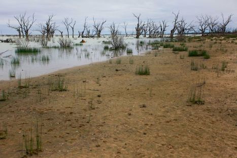 As Menindee's lakes dry up, its tourism prospects do too | Stage 4 Water in the World | Scoop.it