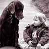 Teaching Kids Compassion Toward Animals - Empathy Training Prevents Violence | Empathy and Animals | Scoop.it