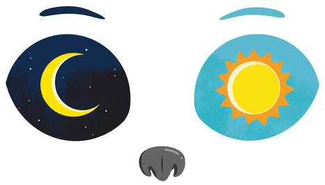 For Early Primates, a Night Was Filled With Color | Amazing Science | Scoop.it