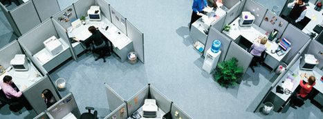 Research: Cubicles Are the Absolute Worst | Voices in the Feminine - Digital Delights | Scoop.it