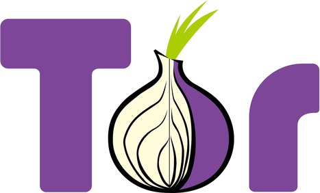 Tor and VPN users will be target of government hacks under new spying rule | A Random Collection of sites | Scoop.it