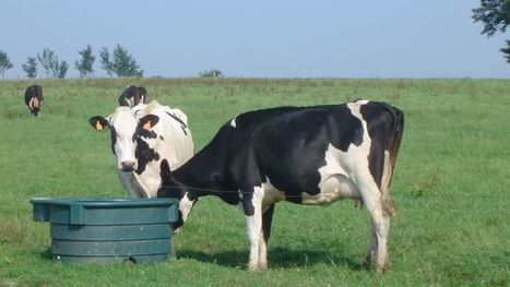 Régulation laitière : L'EMB appelle l'UE à acter un « système volontaire de réduction » des volumes | Lait de Normandie... et d'ailleurs | Scoop.it