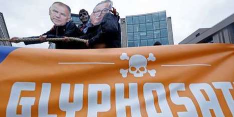 Glyphosate : les ONG portent plainte contre les agences d’expertise européennes - le Monde | décroissance | Scoop.it