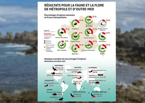 Biodiversité : environ 20% des espèces sont menacées en France et la situation se dégrade | Environnement et technique | Scoop.it
