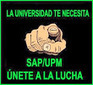Diario de un SAPiens de la UPM: Dama, dama... | Boletín resumen del año 2014. Pucherazo en las Sindicales UPM | Scoop.it