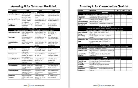 A Teacher Rubric and Checklist for Assessing AI Tools | Educational Technology News | Scoop.it