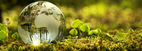 Holaluz obtiene la Medalla de Oro de EcoVadis (Medio Ambiente-Buen Gobierno-RSE) | EcoVadis Customer Success Stories | Scoop.it