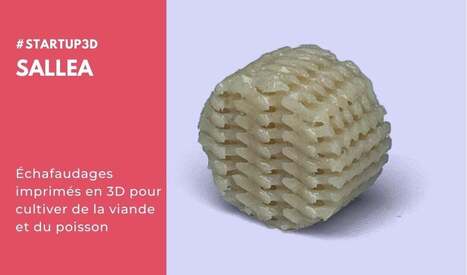 Sallea imprime en 3D des structures comestibles pour favoriser l'agriculture cellulaire | SPV | Scoop.it