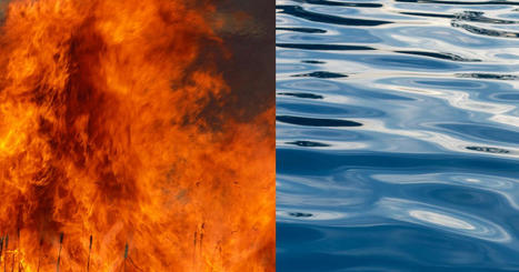 L'eau et le feu... CO2 mon amour | Biodiversité | Scoop.it
