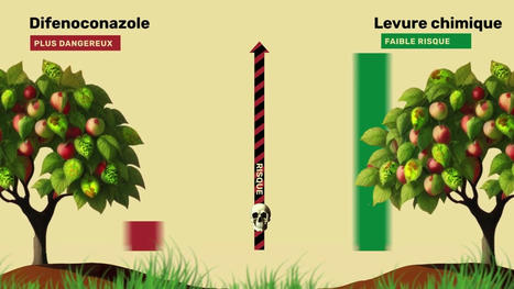 [Les biais du HRI1] Un indicateur défectueux considère un pesticide inoffensif, le bicarbonate de soude, huit fois plus dangereux qu'un pesticide reconnu comme toxique ! | EntomoScience | Scoop.it