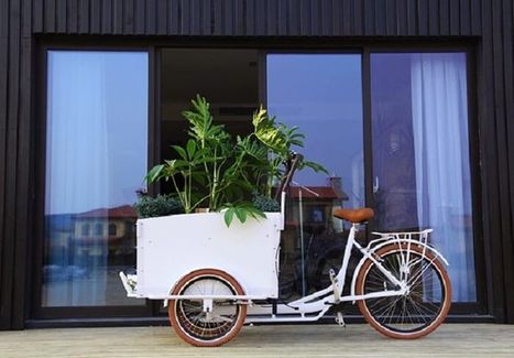 used cargo bike